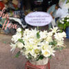 Giỏ Hoa Ly Kép